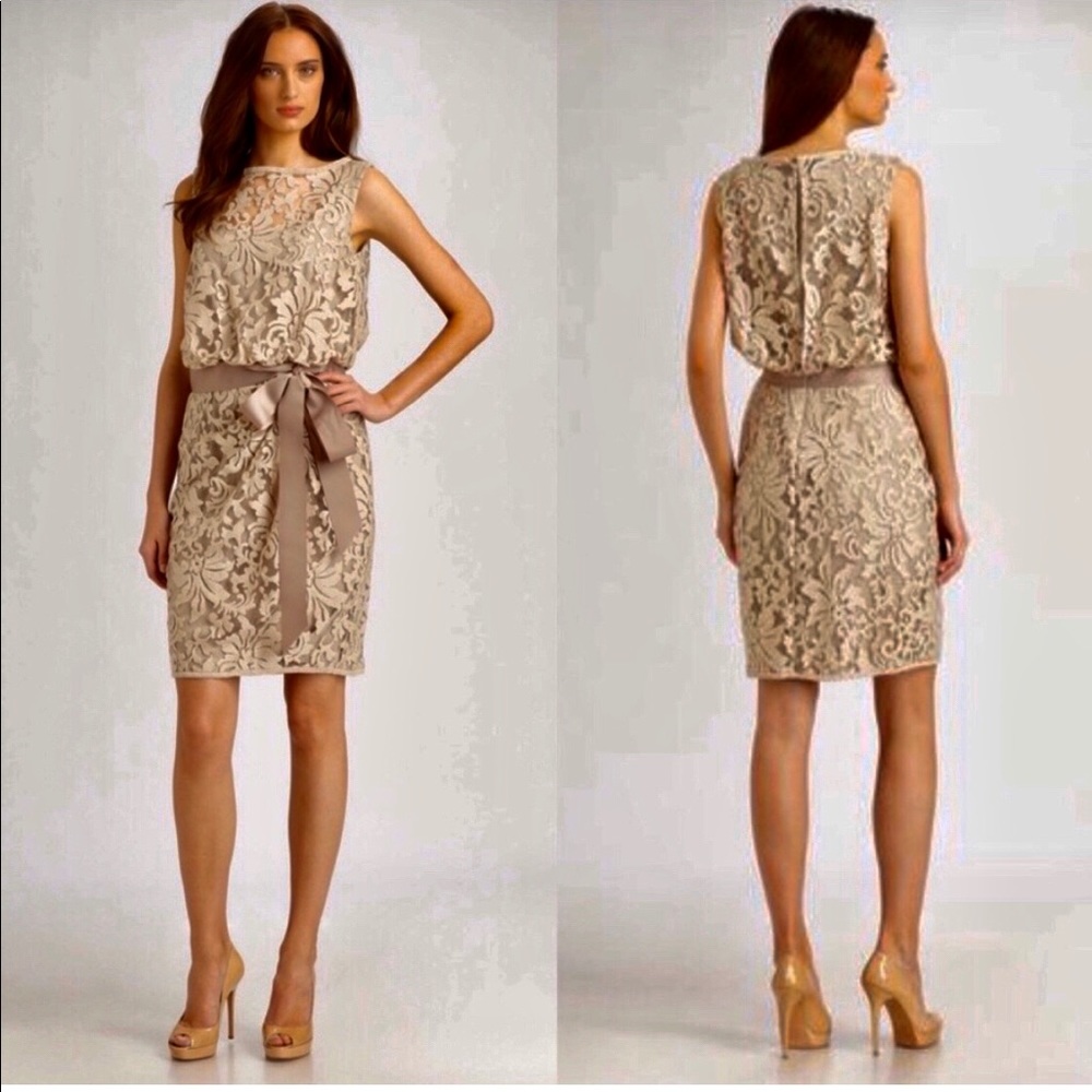 Tadashi Shoui lace dress size 8